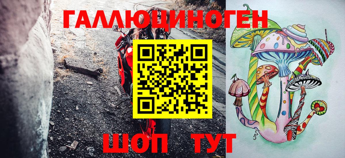 Псилоцибиновые грибы MAGIC MUSHROOMS  Вход с VPN  Северобайкальск 